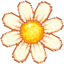 Daisy Donate logo